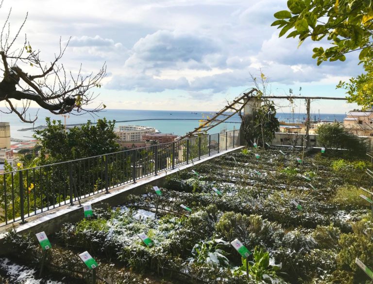 Salerno imbiancata dalla neve: le foto