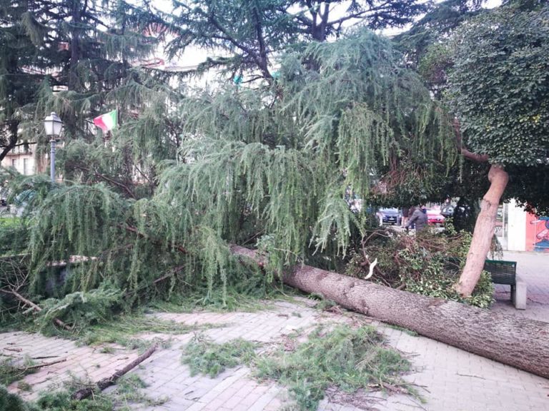 Disagi e paura per il forte vento a Battipaglia e in tutta la provincia