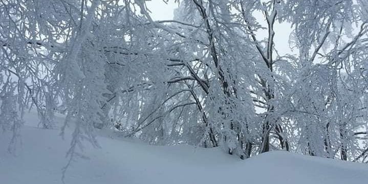 Calvanico ricoperta di bianco: le foto della cittadina innevata