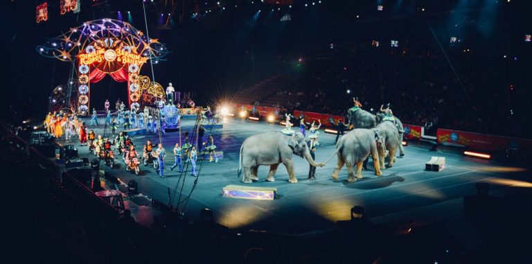 Salerno, presidio di sensibilizzazione per gli animali del circo