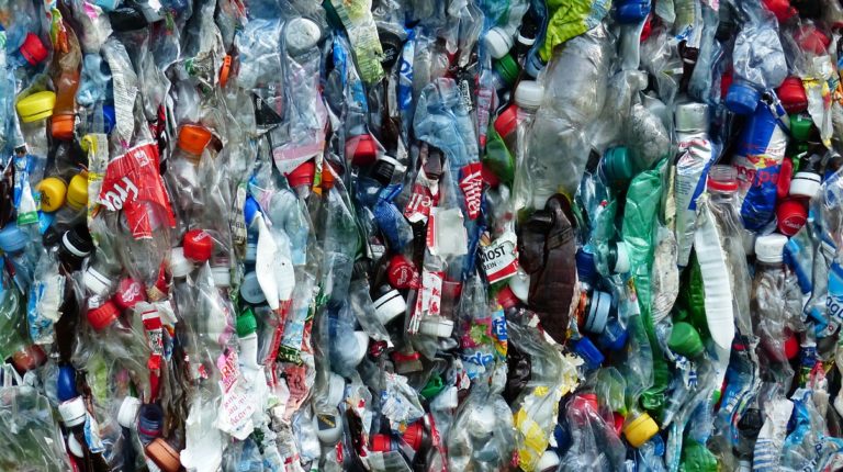 “Liberi dalla plastica”, l’iniziativa del Comune di Castel San Giorgio