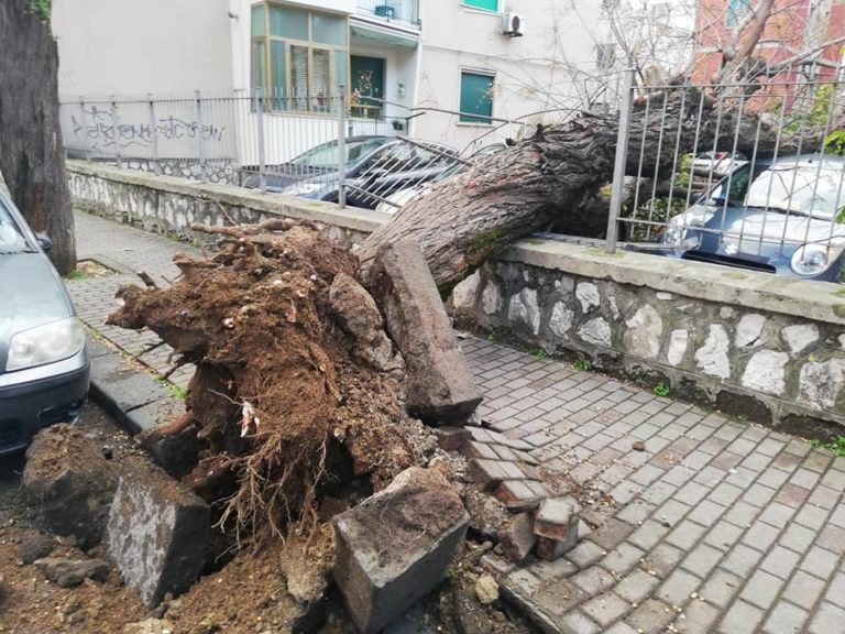 Forte vento a Salerno, il sindaco chiude cimitero e parchi cittadini