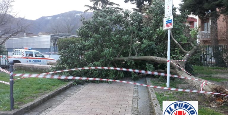 Forte vento a Baronissi, volontari de Il Punto in azione