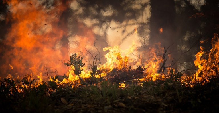 Incendio alle pendici del Parco Regionale Diecimare, sul posto la Protezione Civile e i Carabinieri Forestali