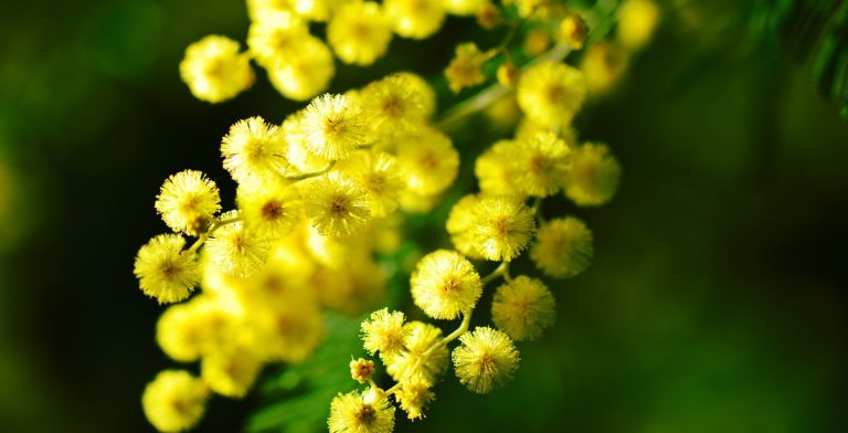 Festa della donna, il toccante messaggio di Michele Strianese