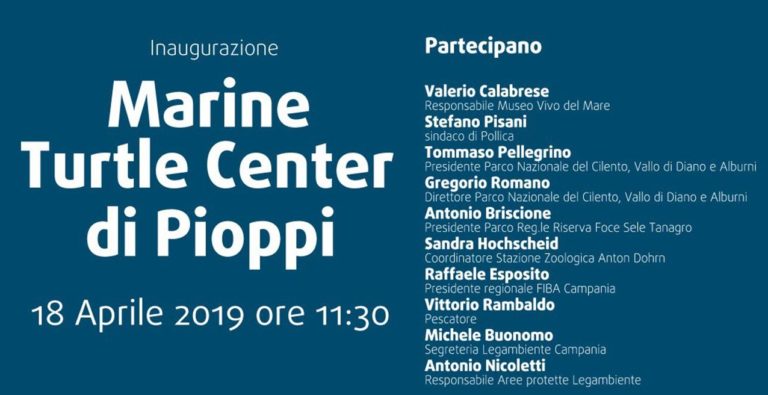 Pollica: presto l’inaugurazione del Marine Turtle Center per la salvaguardia delle tartarughe marine