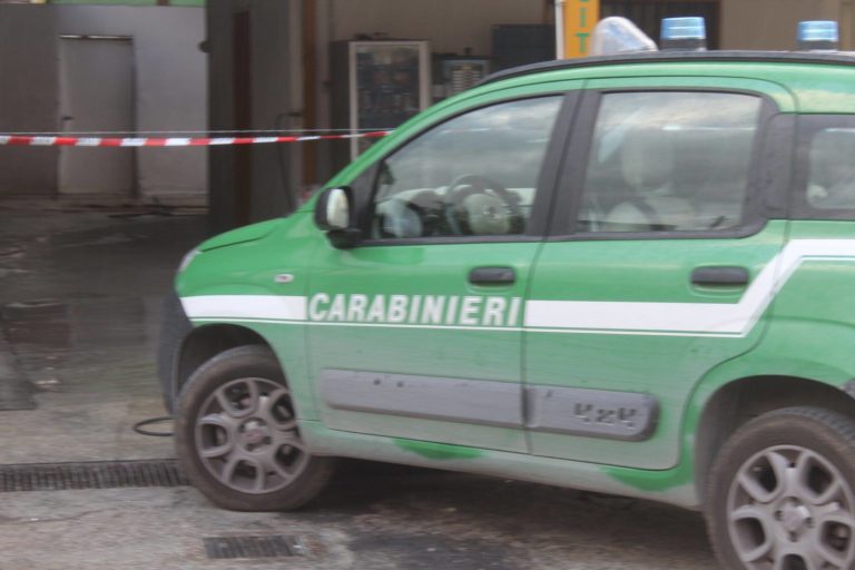 Incendi boschivi, denunciato un incendiario