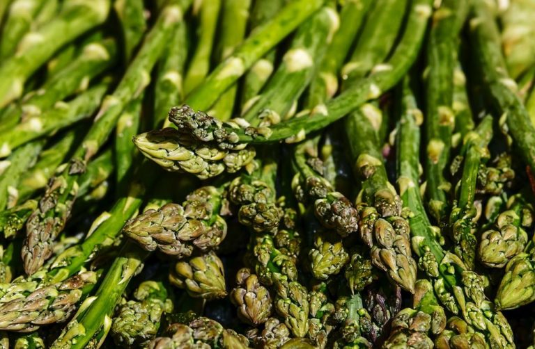 San Mauro Cilento, uomo scivola in un dirupo mentre raccoglie asparagi