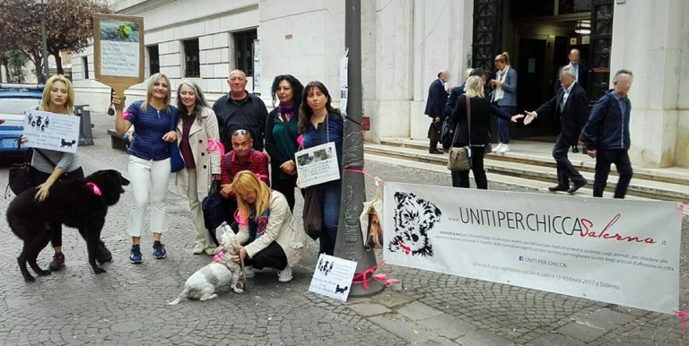 Processo cagnolina Chicca: l’8 aprile si torna in aula per la nona volta