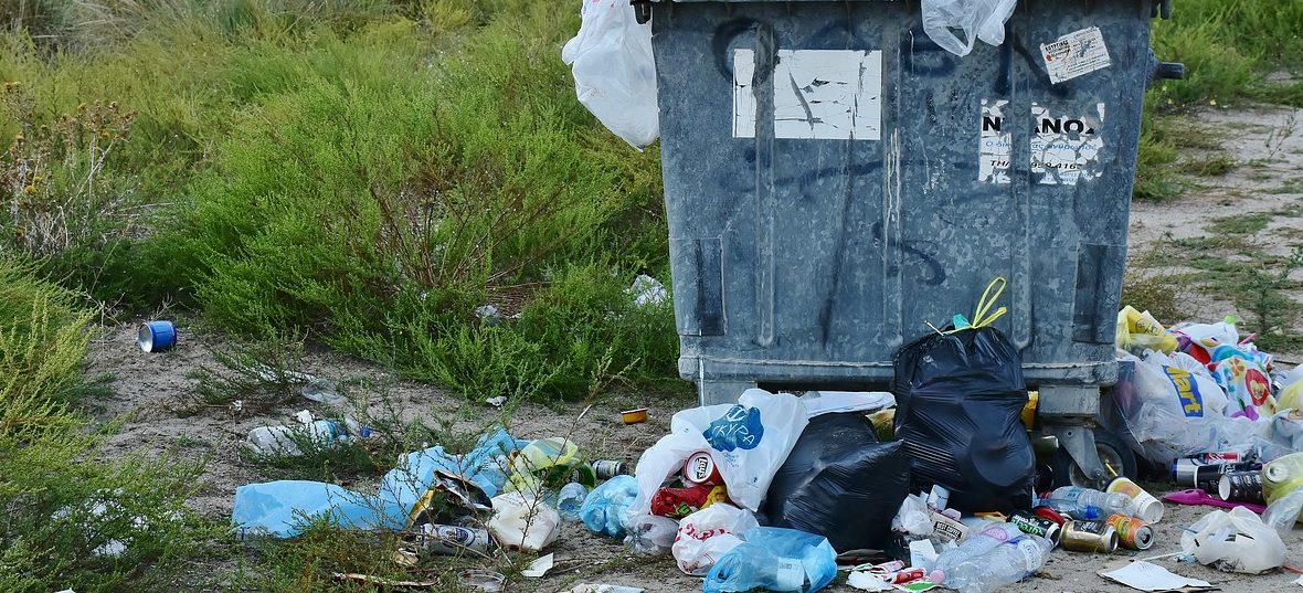 Baronissi, carcasse di animali e rifiuti nei pressi dell ...