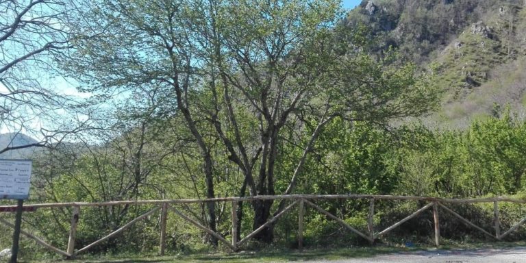 Giffoni: rinvenuto cadavere su un terreno agricolo