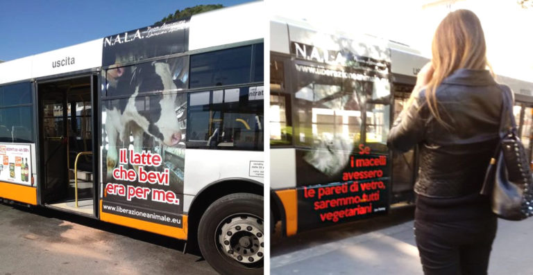 Salerno: la campagna di sensibilizzazione animalista viaggerà sui bus