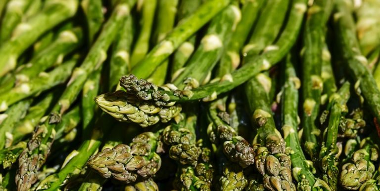 “Roscigno Fest – Festa dell’asparago selvatico” in programma fino al 5 maggio