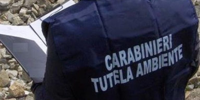 Salerno, violazioni ambientali: sequestri e denunce dei Carabinieri del NOE