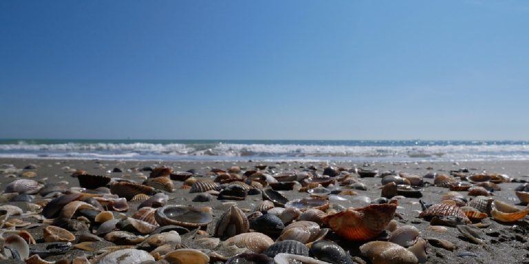 Salerno, revocato divieto di balneazione nei pressi della Foce Fiume Irno