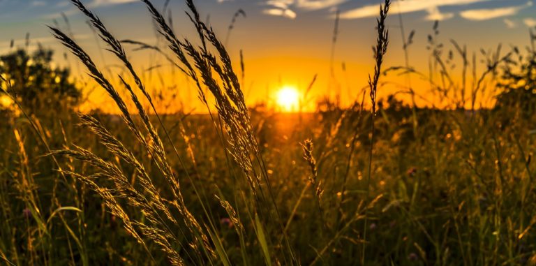 Agricoltura, il 10 maggio a Salerno iniziativa europea promossa da Alpaa, Flai e Cgil