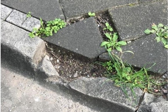 Scuola Media Posidonia, “Il mondo che vorrei” per tutti