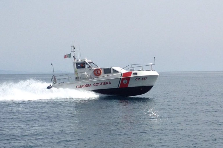 Salerno, Guardia Costiera recupera cinghiale vivo in mare