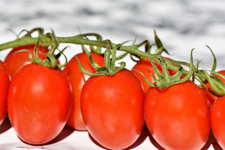 Agro Nocerino Sarnese, sequestrati 6mila chili di pomodoro San Marzano