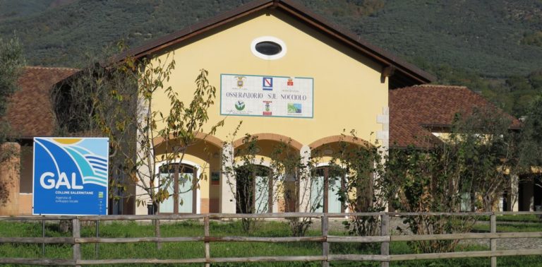 GAL colline salernitane, il futuro del castagno in Campania