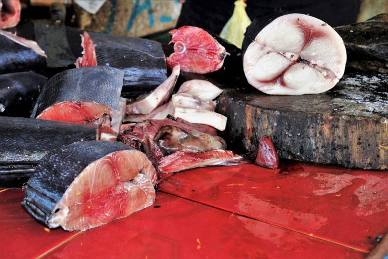 Maxi sequestro a Palinuro: 400Kg di tonno rosso non idoneo al consumo umano
