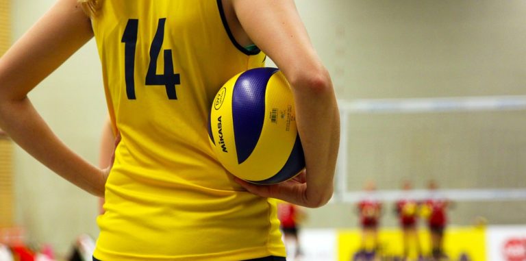 Polisportiva Due Principati Volley e Insay Holding insieme sotto rete