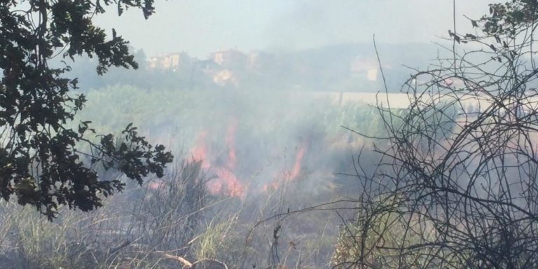 San Cipriano Picentino: incendio tra Località Camporaso e via Tavolone