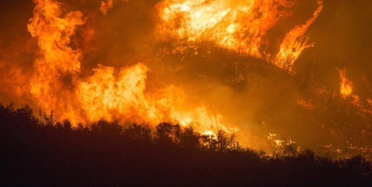 Incendio a Salerno: collina in fiamme a Canalone