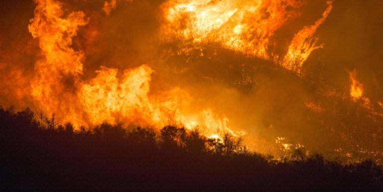 Cilento, ieri vasto incendio tra Buccino e San Gregorio Magno