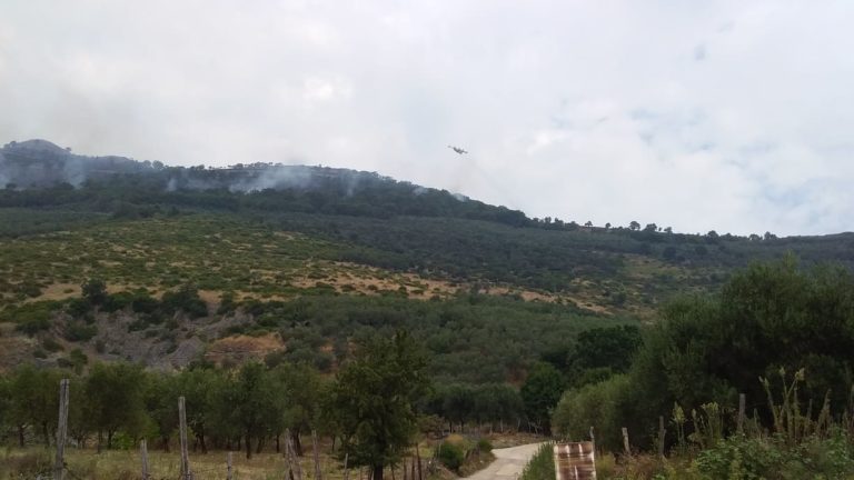 Monte Tubenna San Cipriano Picentino: in corso operazioni di spegnimento