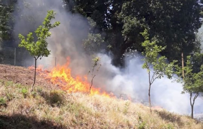 Incendio a Pellezzano, le fiamme lambiscono un’abitazione privata