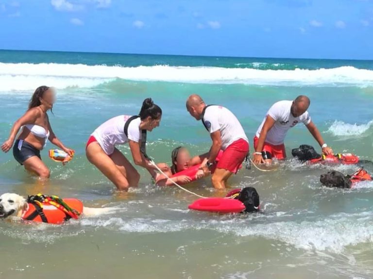 Palinuro: eroi a quattro zampe salvano due turisti in difficoltà