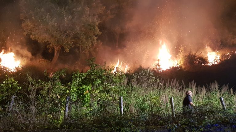 Salerno, incendi al Castello di Arechi e Giovi Bottiglieri