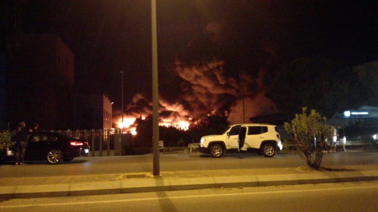 Incendi Battipaglia: Coldiretti pronta a costituirsi parte civile