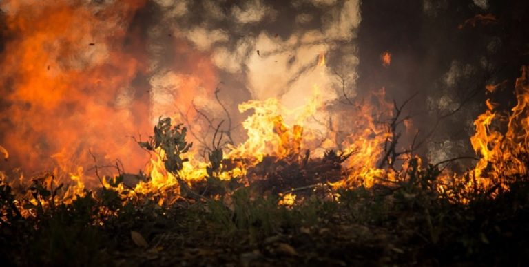 Incendio a Sarno, Legambiente: dopo le fiamme intervenire presto e bene