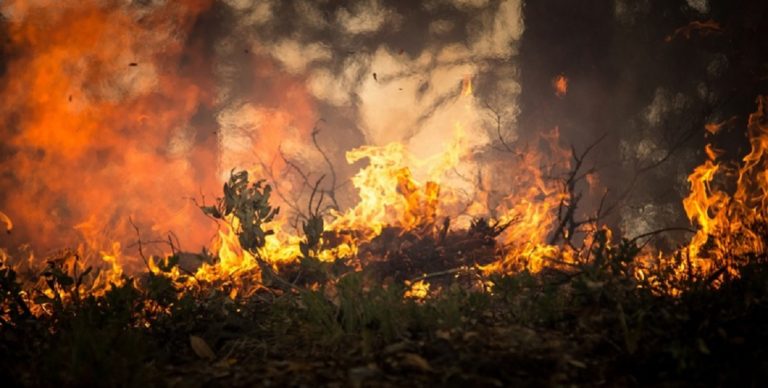 Sarno, incendio Monte Saretto: solidarietà e vicinanza del vescovo