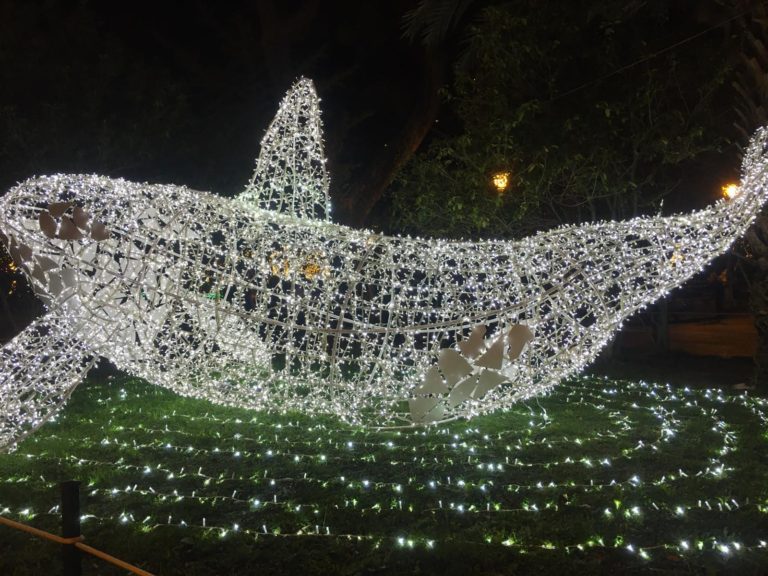 Inaugurazione Luci d’Artista 2019: Salerno si illumina