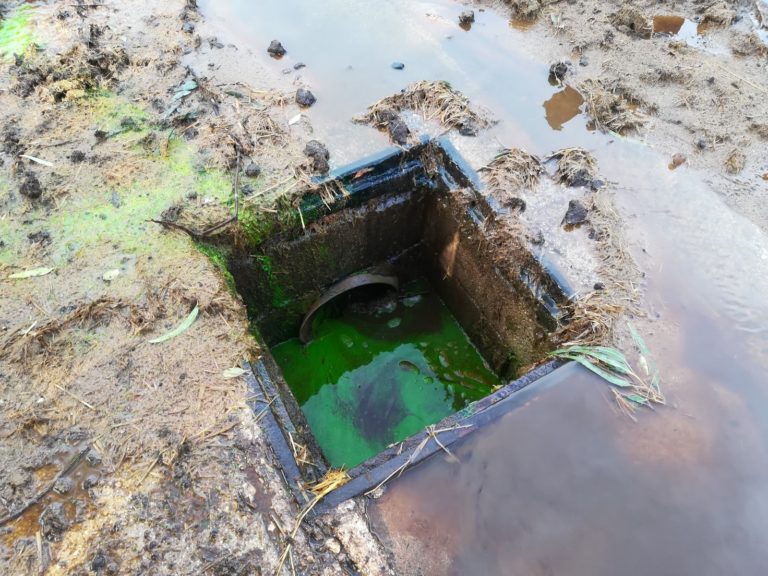 Capaccio Paestum: reflui sversati nel fiume. Nei guai due aziende bufaline