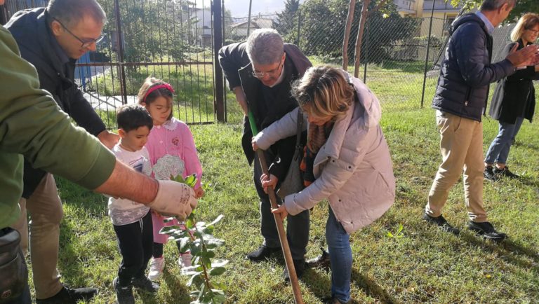 Cava de’ Tirreni “green”. Piantumati alberelli a scuola