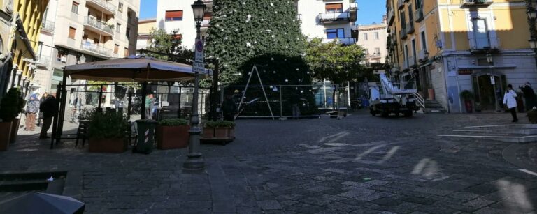 Terminata l’installazione dell’albero in Piazza Portanova. Sabato l’accensione