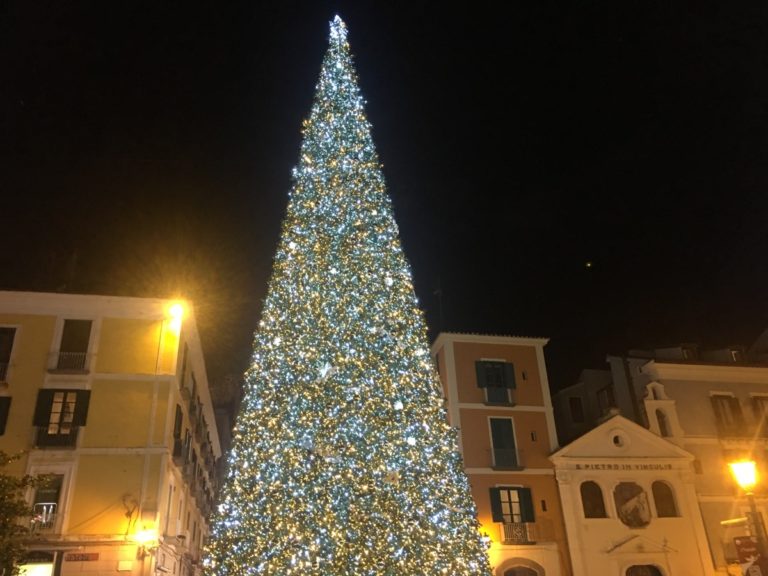 Salerno, acceso il maxi albero di Natale in Piazza Portanova