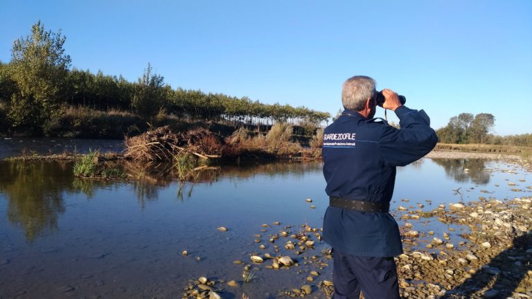 Serre, sette cacciatori sorpresi dall’Enpa nella riserva foce Sele-Tanagro