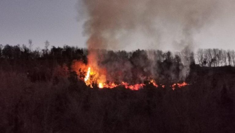 Incendio tra Battipaglia e Eboli: in fiamme ettari di vegetazione