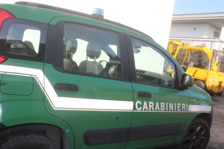 Fiume Sarno: controlli a tappeto dei carabinieri
