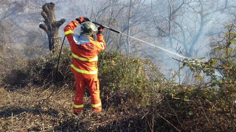 Pellezzano: domato incendio in località “Acqua del Corvo”