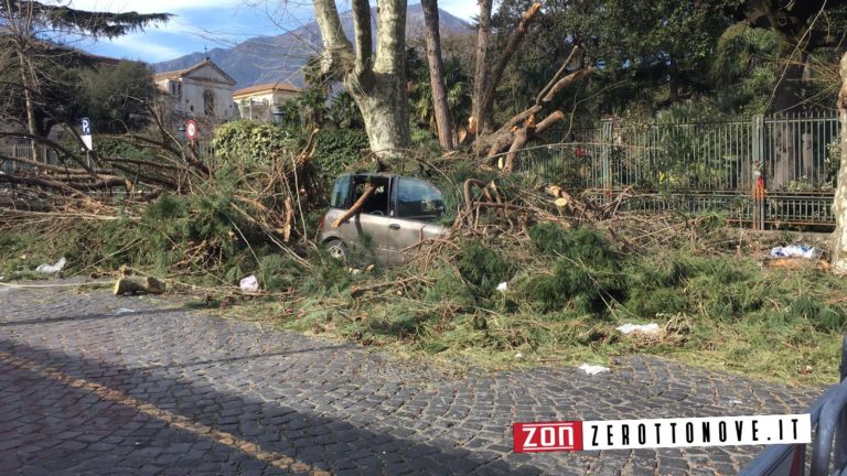 Morte Gioacchino Mollo, arriva l’esito della perizia: oggi i funerali