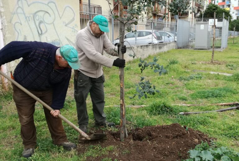 Cava de’ Tirreni, con il Rotary Club parte “Urban Green”