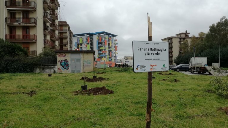 Battipaglia, piantumazione di 100 alberi. Si parte da via Moncharmont