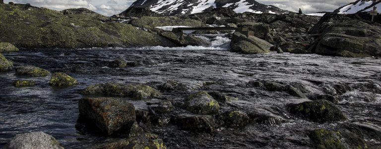 Goletta dei Fiumi 2019: il fiume Picentino. Presentazione dell’indagine di Citizen Science condotta da Legambiente Campania