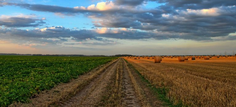 “Agricoltura di qualità tra sfruttamento e caporalato”: ad Eboli iniziativa di Cgil e Flai con Davide Fiatti